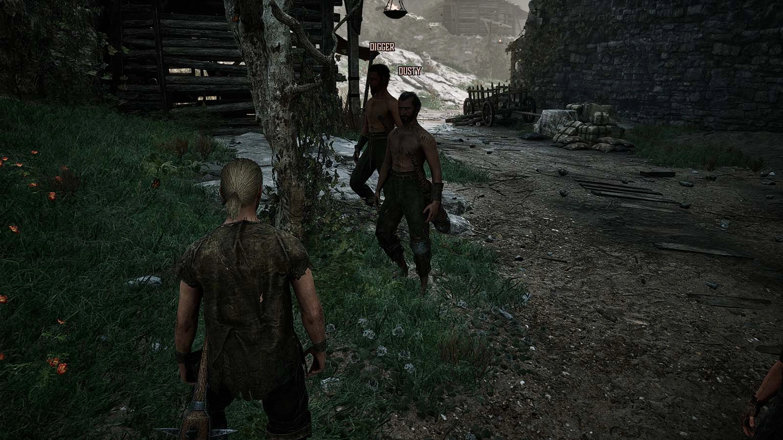 Новые души для Братства в Gothic 1 Remake: где найти Дасти
