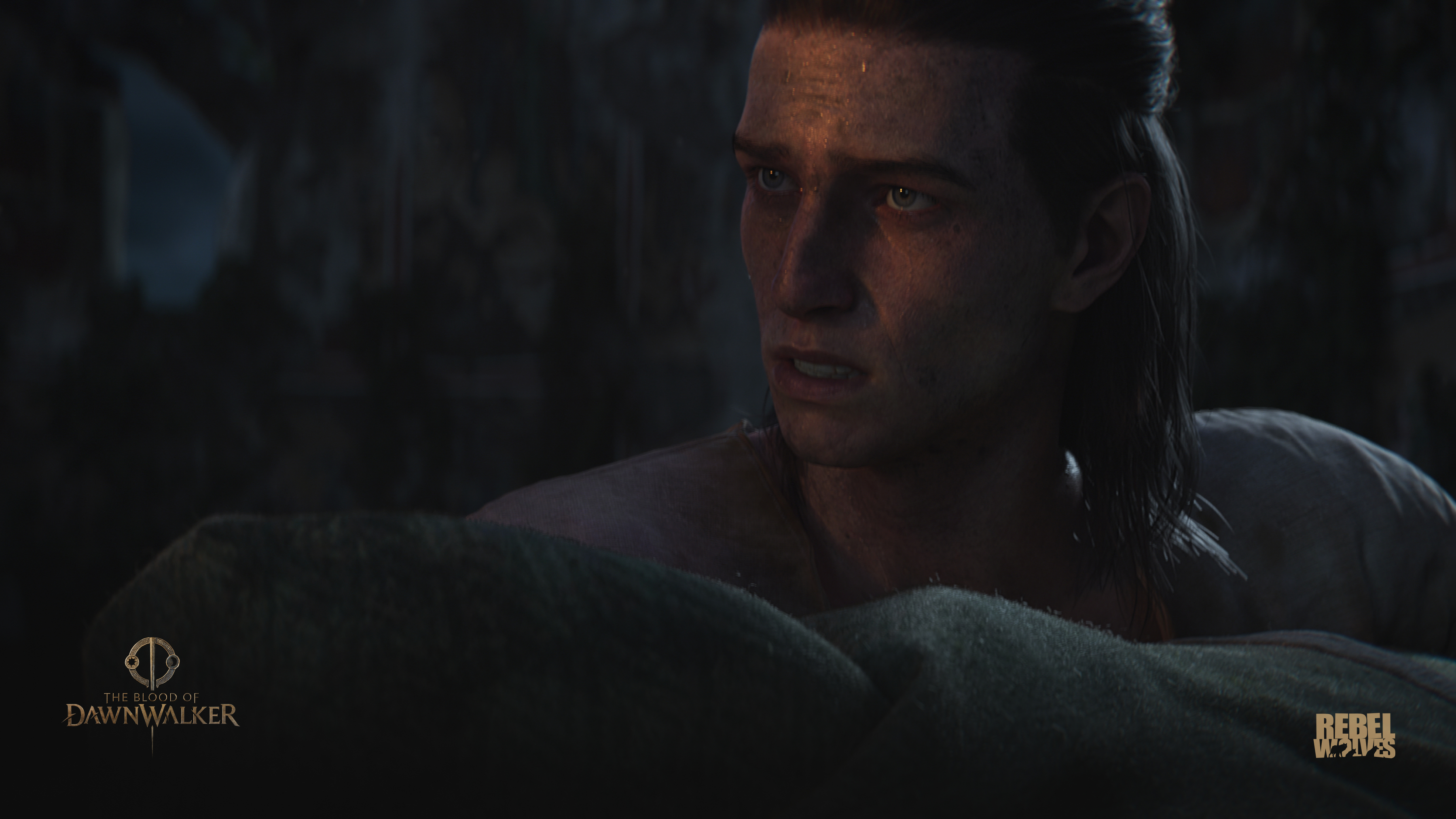 The Blood of Dawnwalker получила 83 на Metacritic: первые оценки