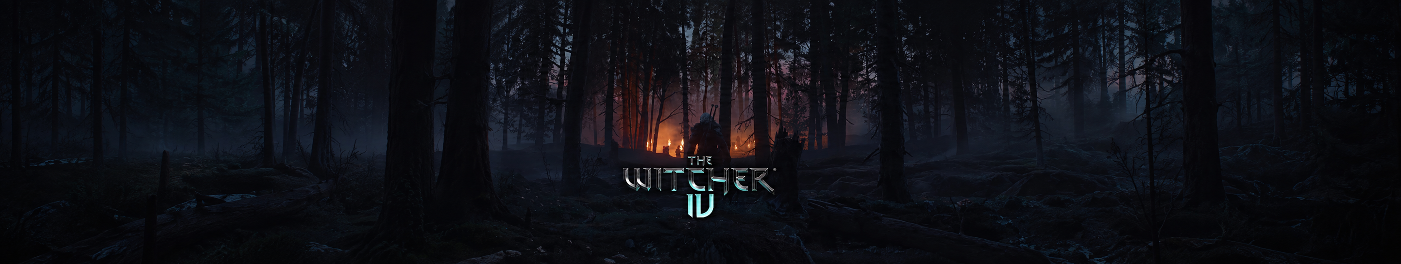 The Witcher IV